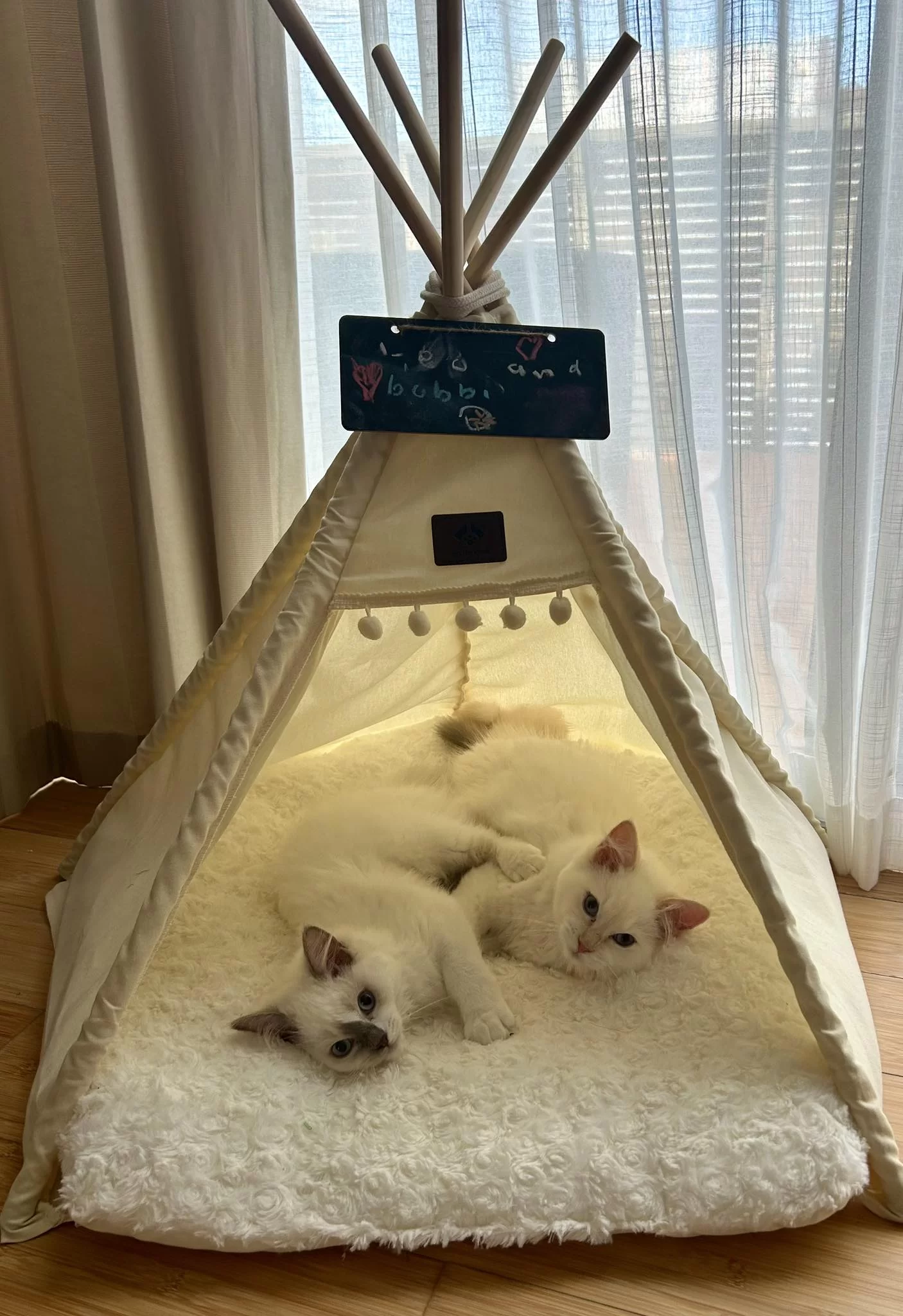 Ragroyalty Muffin Top & Ragroyalty Ginger Snap